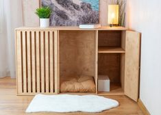 a wooden cabinet with a white rug on the floor