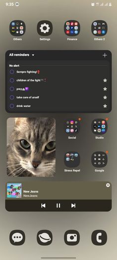 an image of a computer screen with a cat in the center and other icons on it