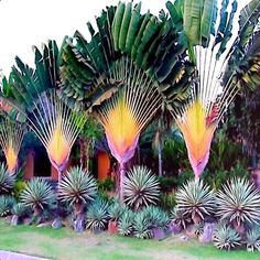 some very pretty looking plants by the side of the road in front of a house