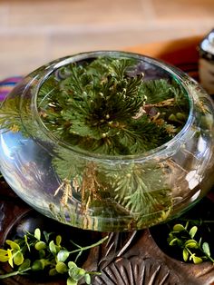 a glass bowl filled with green plants on top of a wooden table next to other items