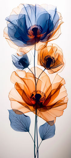 three blue and orange flowers on a white background