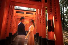 Japan Kyoto Pre-Wedding at Fushimi Inari Shrine and Nara Park | Kinosaki | OneThreeOneFour Nara Park, Fushimi Inari Shrine, Inari Shrine, Nami Island, Japanese Shrine, Fushimi Inari, Japan Sakura