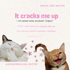 two cats with their mouths open in front of the caption that says it cracks me up