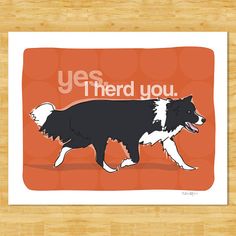 there is a sticker on the wall that says,'ye herd you '