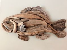 a piece of driftwood that has been placed on the wall and is shaped like a fish