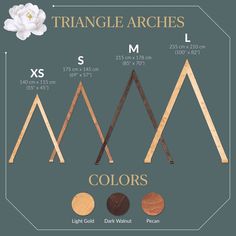 the different types of triangle shapes and sizes