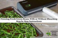 fresh green beans with or without blancing step by step instructions on how to freeze them