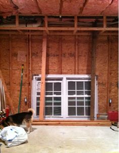 a dog standing in the middle of a room under construction