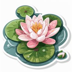 a pink water lily floating on top of green leaves