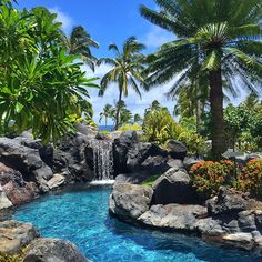 an outdoor swimming pool surrounded by palm trees and water features a waterfall that flows from the rocks