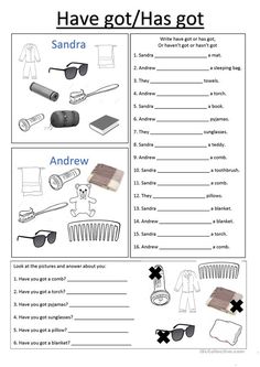 the worksheet for have got / has got with pictures and other things to do