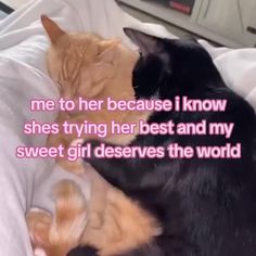 two cats cuddle together on a bed with the caption, me to her because i know she's trying her best and my sweet girl deserves the world