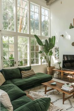 a living room with green couches and a large potted plant in the corner