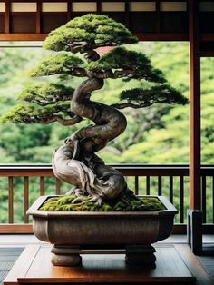 a bonsai tree sitting on top of a wooden table in front of a window