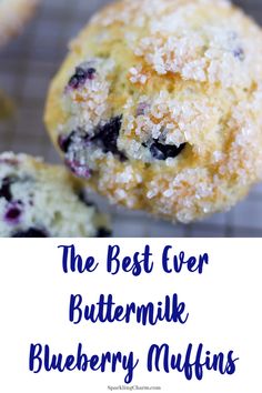 the best ever buttermilk blueberry muffins