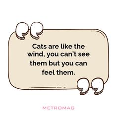 cats are like the wind, you can't see them but you can feel them