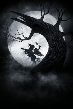 a black and white photo of a tree with a witch on it