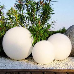 three white balls sitting next to each other in front of plants and rocks on the ground