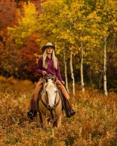 a woman riding on the back of a brown and white horse through a forest filled with trees