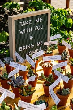 there are many succulents on the table with signs that say take me with you and bring me home