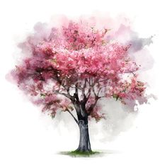 a watercolor painting of a tree with pink flowers