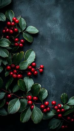 red berries and green leaves on a dark background