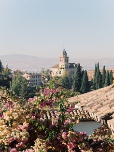 flowers are blooming on the roof of an old building with a tower in the background