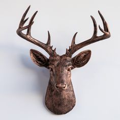 a deer head mounted on the wall