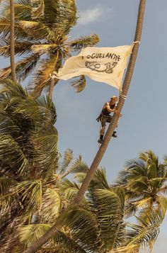 a man climbing up the side of a palm tree on top of a white flag