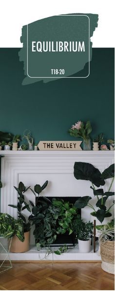 a living room filled with lots of plants and potted plants on top of a fireplace