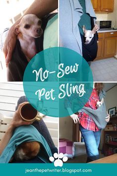 there is a woman holding a dog in her lap and the words no - sew pet sling on it