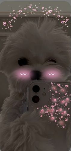 a white fluffy dog holding a cell phone with its eyes open and glowing pink lights in the background