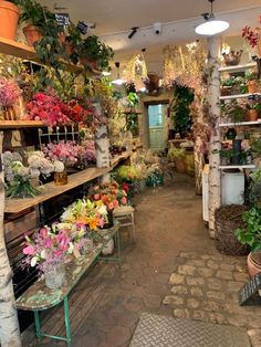 a flower shop filled with lots of different types of flowers and potted plants on shelves