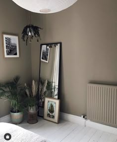 there is a mirror, potted plants and pictures on the wall in this room