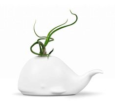 a white ceramic teapot with green plants in the shape of a whale's tail