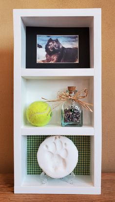 three shelves with different items on top of each shelf, including a dog's paw and tennis ball