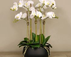 white orchids are in a black pot on a table