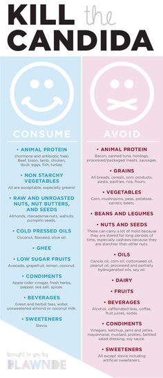 Jäst. Igår. Brutto ord, grov konnotation. Det är vad Candida är - en jäst, och jag får många frågor om det. Alla har candida i t 1200 Calorie Diet Meal Plans, Candida Recipes, Anti Dieting, Healthy Bacteria, Animal Protein, Fifth Harmony