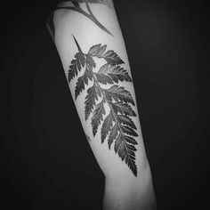 a black and white photo of leaves on the arm