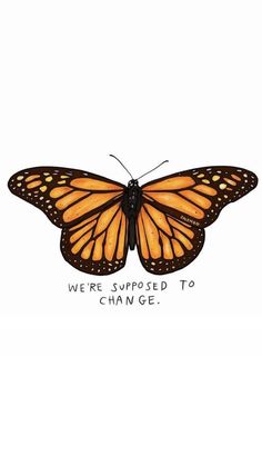 an orange butterfly with the words we're supposed to change written in black on it