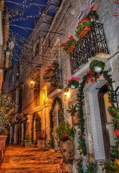 an alleyway with potted plants and lights on the side of it at night