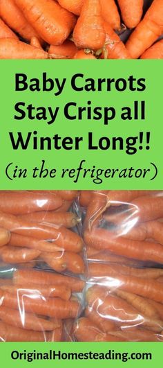 baby carrots are wrapped in plastic and have the words baby carrots stay crisp all winter long