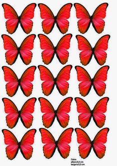 many red butterflies are arranged in the shape of a rectangle on a white background