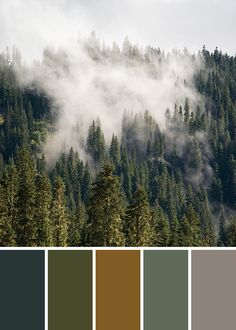 a mountain covered in trees and fog