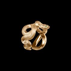 Unleash Your Inner Goddess with Customized Snake Ring Snake Ring Gold, Silver Cleaner, Silver Eye, Inner Goddess, Ruby Emerald, Snake Ring, Cuff Rings, Pink Gemstones, Types Of Rings