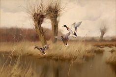 three birds flying over a body of water next to tall grass and dead tree branches