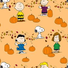 peanuts and charlie brown in the fall with pumpkins