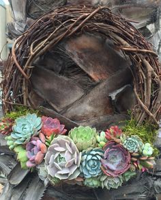 a wreath with succulents and moss on it