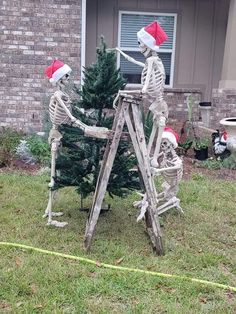 two skeletons dressed in santa hats are decorating a christmas tree on the lawn outside