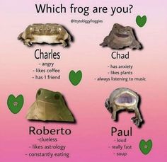 the different types of frogs and toades are shown in this poster, which is also labeled